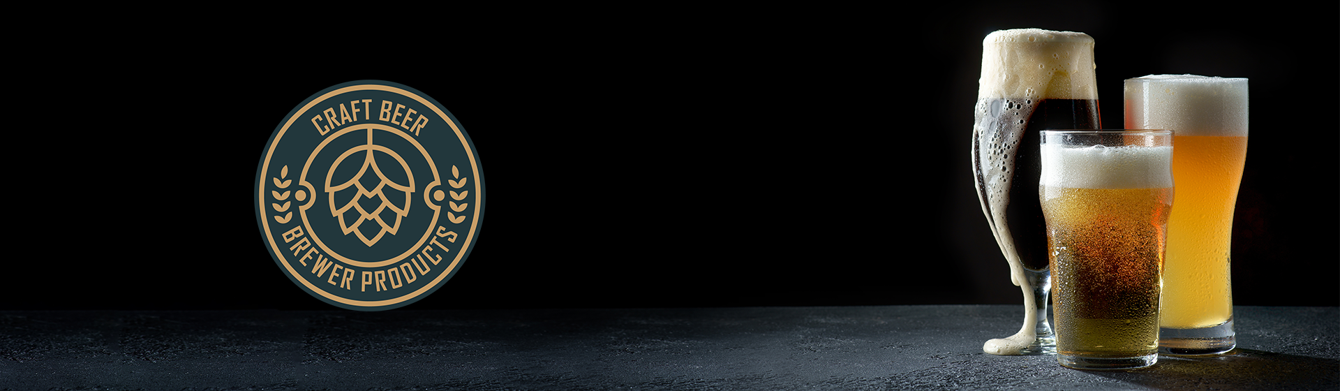 carousel_1_logo