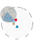 Lallemand House Ale sörélesztő