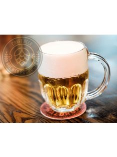BREWER 20 PILSENI komplett sörfőzőcsomag