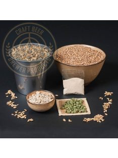 BREWER 20 Hoegaarden clone komplett sörfőzőcsomag