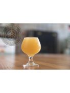 BREWER 20 Raw Hazy IPA