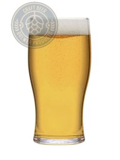 BREWER 20 GOSE komplett sörfőző csomag