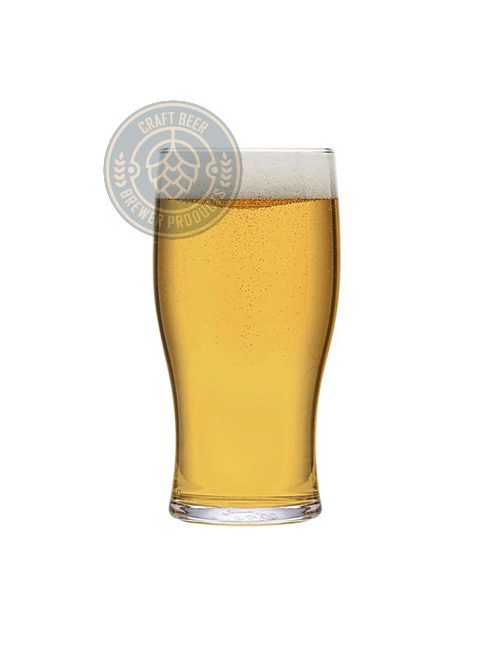 BREWER 20 GOSE komplett sörfőző csomag
