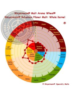 Weyermann Bohemian Pilsner maláta