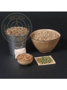 BREWER 20 Bécsi ászok komplett sörfőző csomag