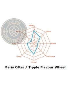Maris Otter Malz