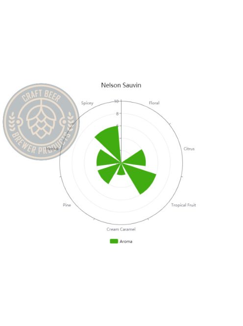 Nelson Sauvin  keserű és aromakomló pellet 1g.